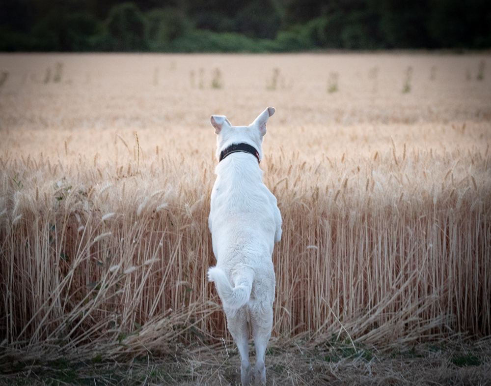 physiotherapie_image1