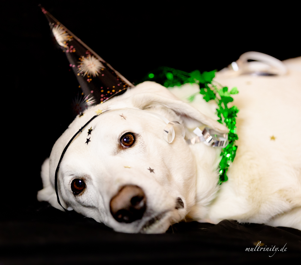 silvester